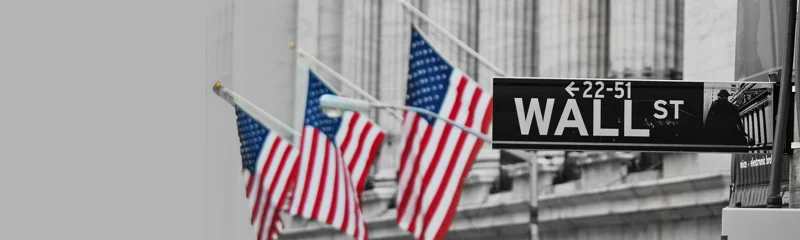 Counterpoint October 2025 - Capturing US earnings