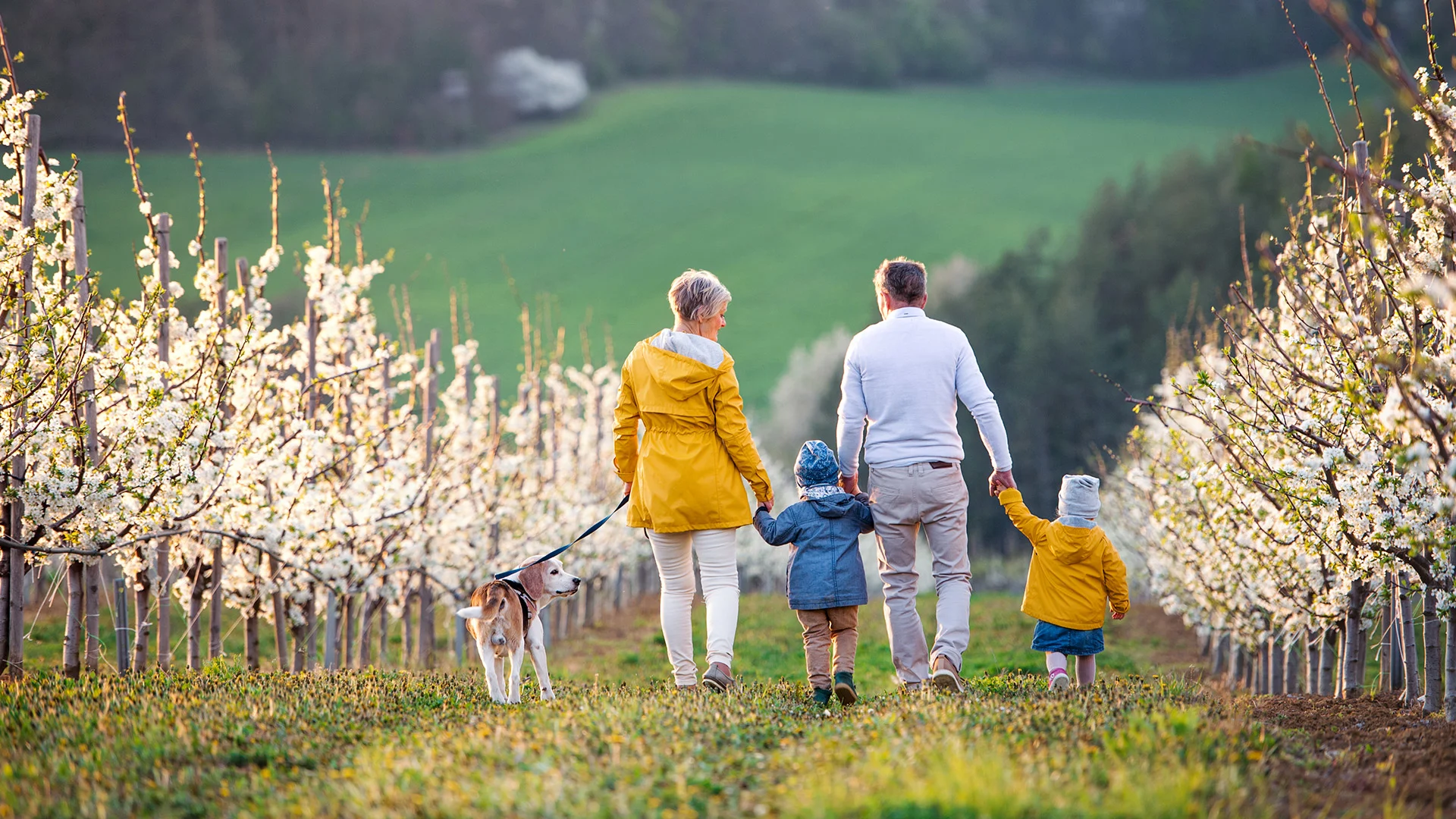 Quintet | BlackRock report by Ipsos: The Rise in Generational Wealth: Unlocking New Opportunities